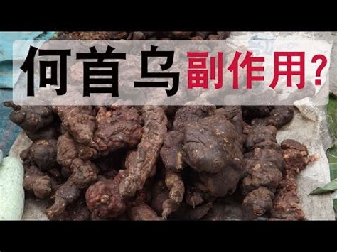 何首烏 一斤 多少錢|何首烏：全面了解及其食用禁忌、功能和方法 – 杏壇中。